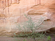 Sandstone Wall