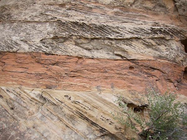 Sandstone Erosion, Detail - 2110517-112